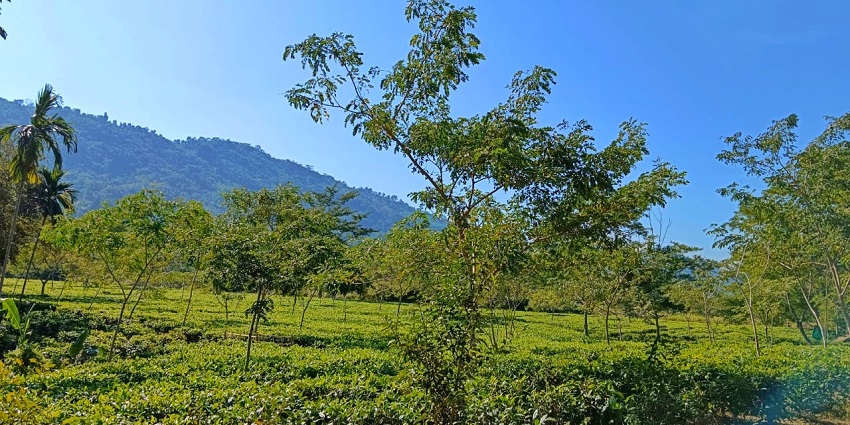 Staying at a Lakeside homestay or resort is one of the best things to do in Naukuchiatal