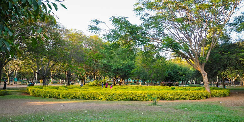 Stroll through the lush gardens of Geeta Vatika for a relaxing evening.
