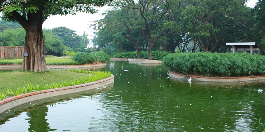 A beautifully landscaped botanical garden with exotic plants, shaded pathways, and tranquil water features.