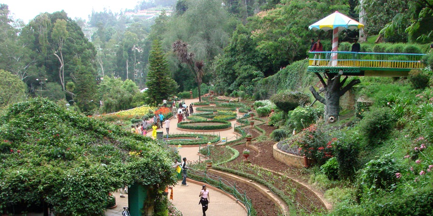 Wandering through the Botanical Garden is one of the fun and relaxing things to do in Yercaud with family and friends.