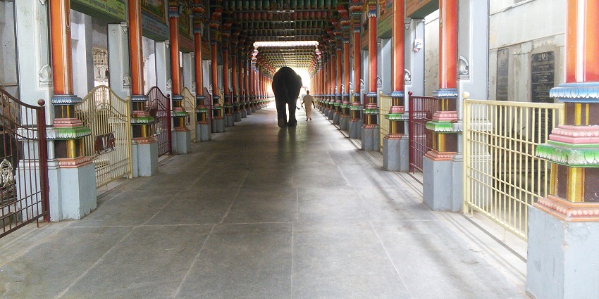 Inside the Oppiliappan temple with carved stone pillars and the silhouette of an elephant