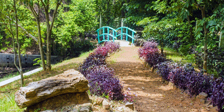 Explore the serene Suketi Fossil Park which is one of the places to visit near Yamunanagar.