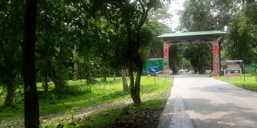 Sukna offers tranquil nature trails and is a charming place to visit in North Bengal.