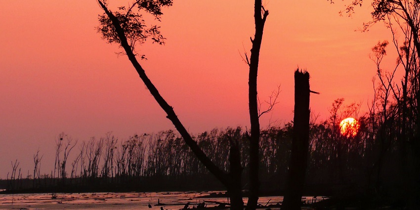 Sundarbans, a place to visit in West Bengal in June, showcases nature's strength