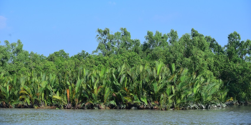 Sundarbans is a UNESCO World Heritage Site among the offbeat places near Kolkata.