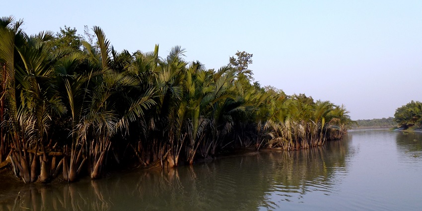 Sunderban National Park, one of the places to visit near Kolkata for the weekend