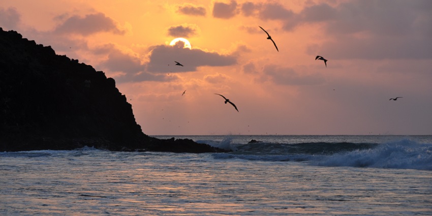 A view of the sun setting over water at the Rose Valley Beach in Mandarmani.