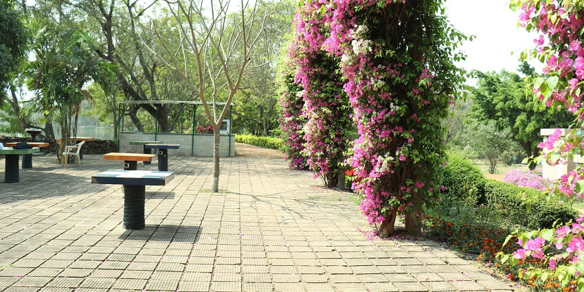 Swamiji Park, a beautiful park dedicated to Swami Vivekanand, surrounded by greenery