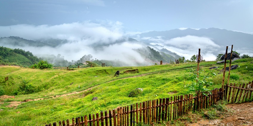 A natural hiking trail on the Swamimalai Hills, surrounded by heavy mist and clouds.