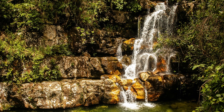 Waterfall cascading over forest rocks, surrounded by green trees under soft light
