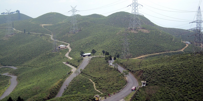  Sourenee Tea Estate in Tabakoshi, one of the offbeat places to visit in North Bengal.
