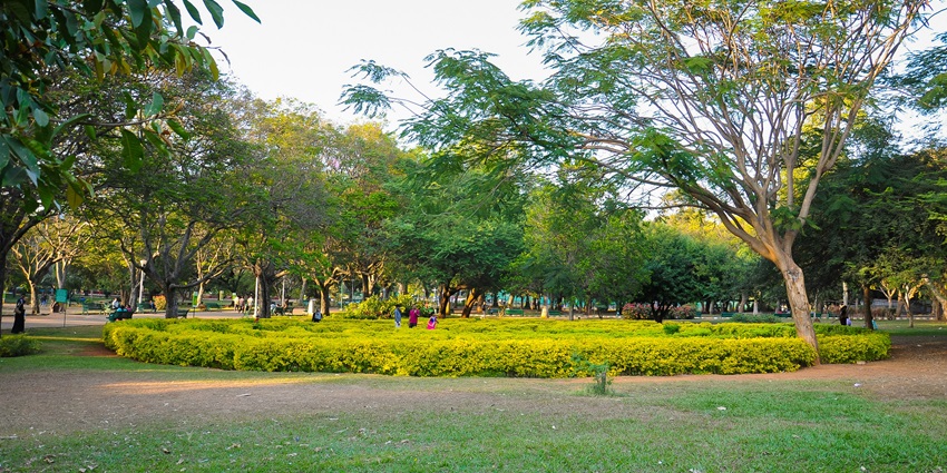 Tagore Park is one of the most amazing tourist places to visit in Mahe for travellers.
