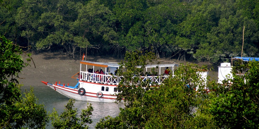 Boat safari launch in the Sundarbans with people exploring the mangrove waterways