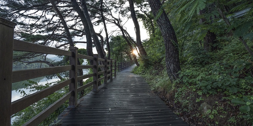 Connect with nature on peaceful trails, an ideal thing to do in Pangot.
