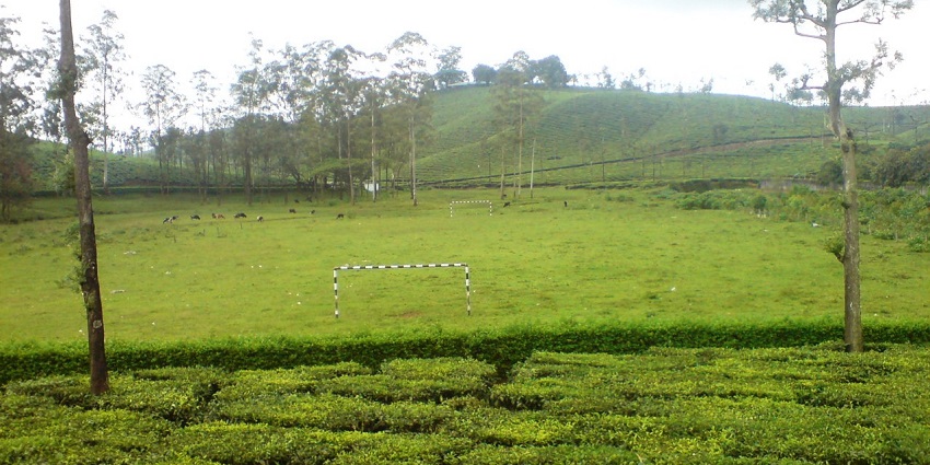 The image of Loam's View Point, ideal for photos amidst a lush green background.