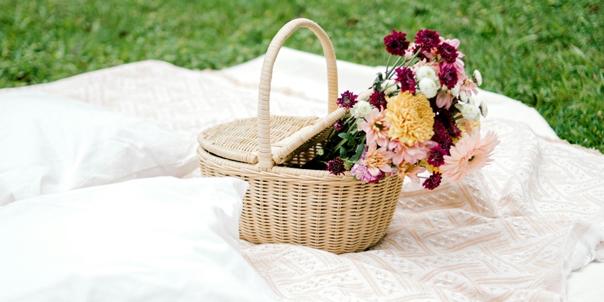 Taki Picnic Garden is a charming gem and a must-visit among visitors for ultimate fun.