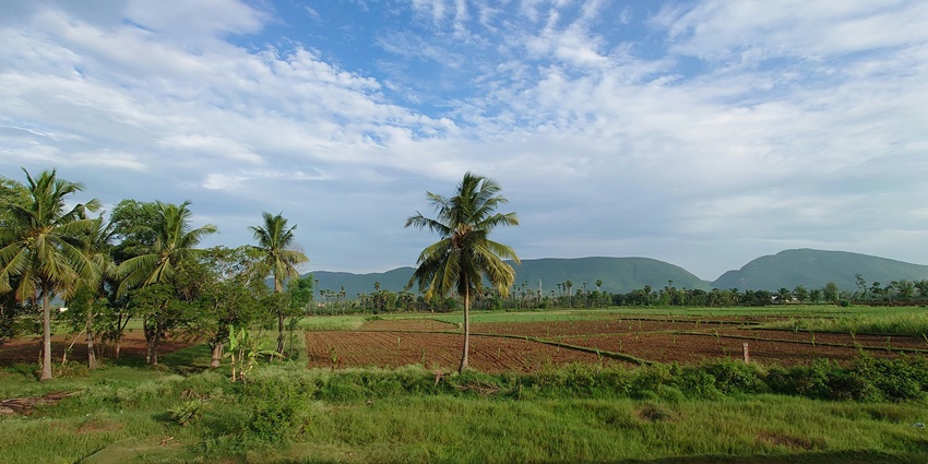 A picture of Tampcol Medicinal Farm, showcasing the best places to visit in Kolli Hills.
