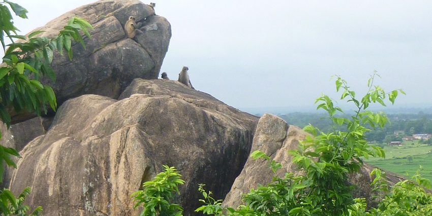 A person standing on top of the hills enjoys a breathtaking view of green mountains.