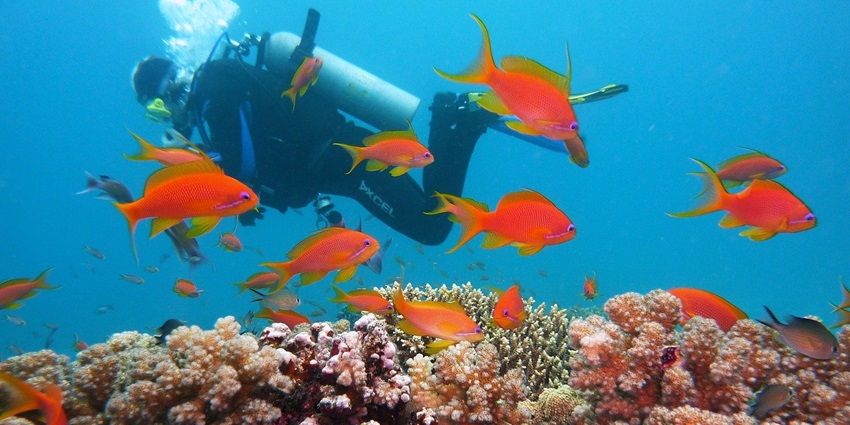 An image of Tarkarli, which is one of the best places for scuba diving in Maharashtra