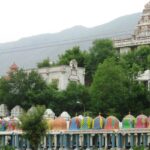 Numerous small shrines are placed next to each other behind which there is a large temple