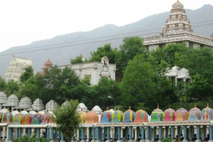 Numerous small shrines are placed next to each other behind which there is a large temple