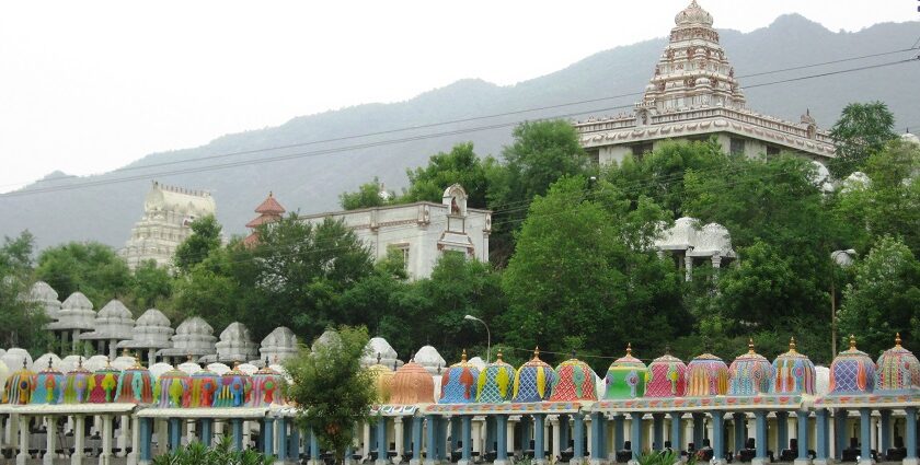 Numerous small shrines are placed next to each other behind which there is a large temple