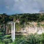 A serene photo capturing the movement of a river flowing through a lush, green forest.