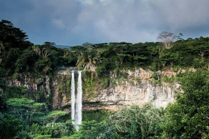 A serene photo capturing the movement of a river flowing through a lush, green forest.