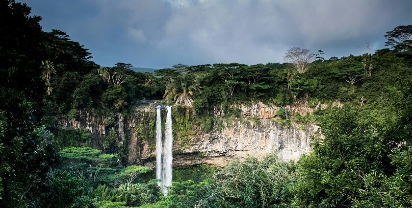 A serene photo capturing the movement of a river flowing through a lush, green forest.