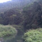 An image of Periyar Lake with misty hills in the background, Kerala.