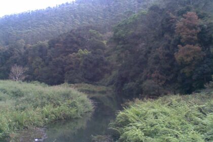 An image of Periyar Lake with misty hills in the background, Kerala.