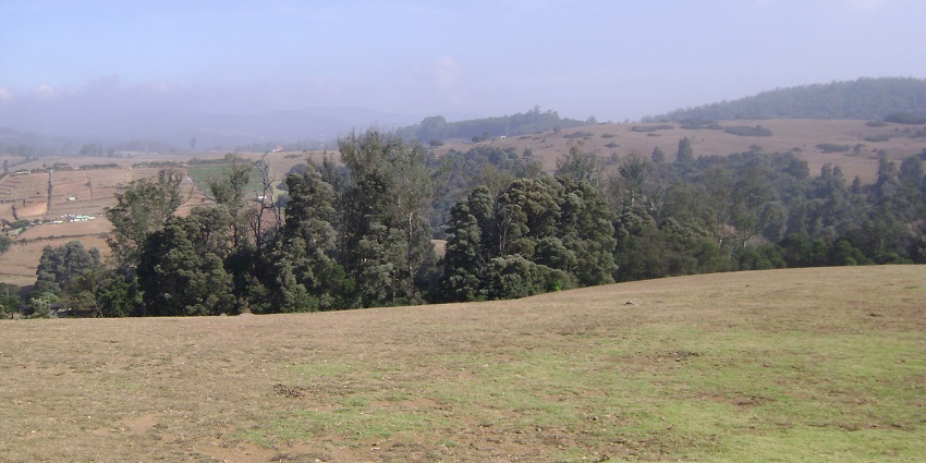 A misty view of Shooting Point in Ooty, with rolling hills, a popular spot for night photography.