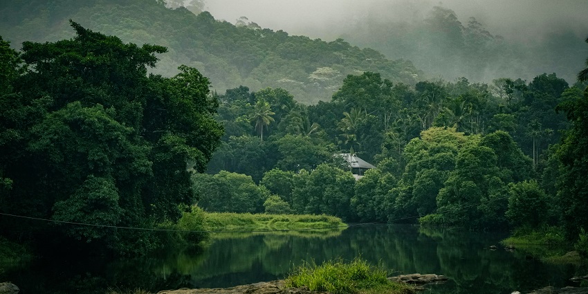 A breathtaking lush view of Thekkady with green forests and a lake at the centre.