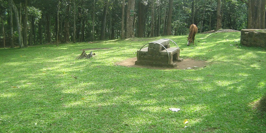 An image of Thekkady town, a famous tourist destination located near Kodaikanal.