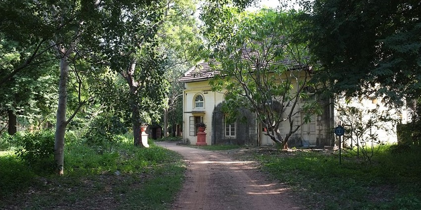 Theosophical Society, one of the most unique places to visit in Chennai with friends.