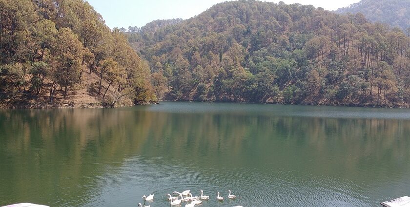 Discover various adventurous activities and things to do in Naukuchiatal.