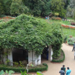 Explore several exciting things to do in Ooty in 2 days for an unforgettable getaway.