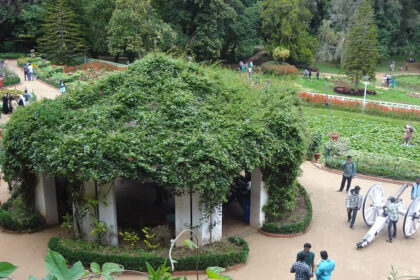 Explore several exciting things to do in Ooty in 2 days for an unforgettable getaway.