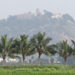 A picture of temples and nature spots, highlighting the best things to do in Palani.