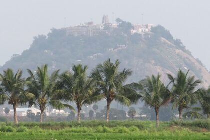 A picture of temples and nature spots, highlighting the best things to do in Palani.