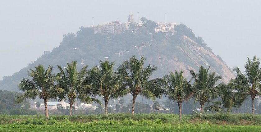 A picture of temples and nature spots, highlighting the best things to do in Palani.