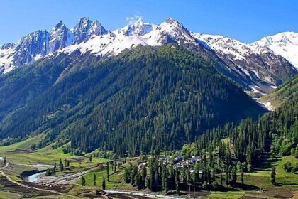 Exploring the high peaks amidst lush alpines is one of the best things to do in Sonmarg.