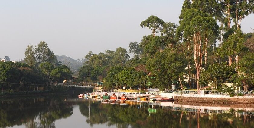 There are many things to do in Yercaud for visitors and locals alike to enjoy to the max.