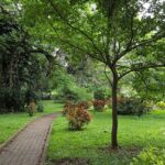 Things to do in Cubbon Park include visiting cultural landmarks, and recreational activities