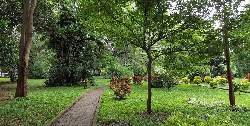 Things to do in Cubbon Park include visiting cultural landmarks, and recreational activities