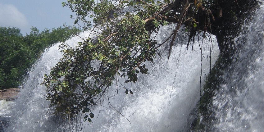 An idyllic view of Thirparappu Waterfalls featuring cascading waters and greenery.