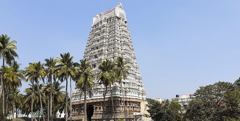 Vedagiriswarar temple entrance with detailed architecture, palm trees and Temple tank.