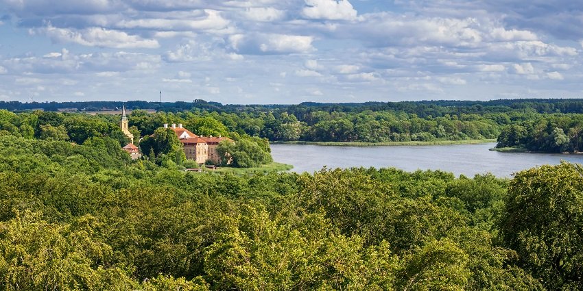 A picture of a lake in Haryana, surrounded by lush green forestland, with clouds hovering over