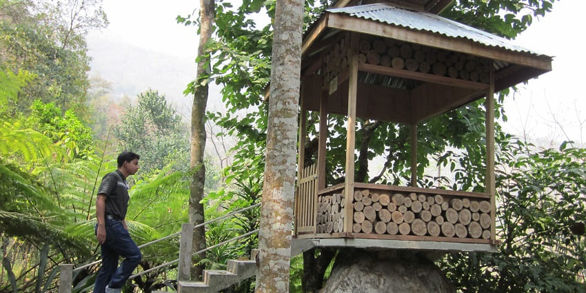 A picture of a wooden platform at an orange garden in Tinchuley
