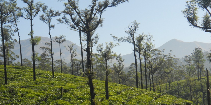 A vibrant place and amongst the best places to see near Indira Gandhi National Park
